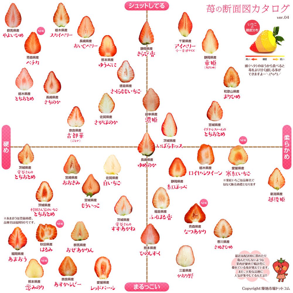 f:id:shukuzou:20190117140033j:plain f:id:shukuzou:20190117140033j:plain
