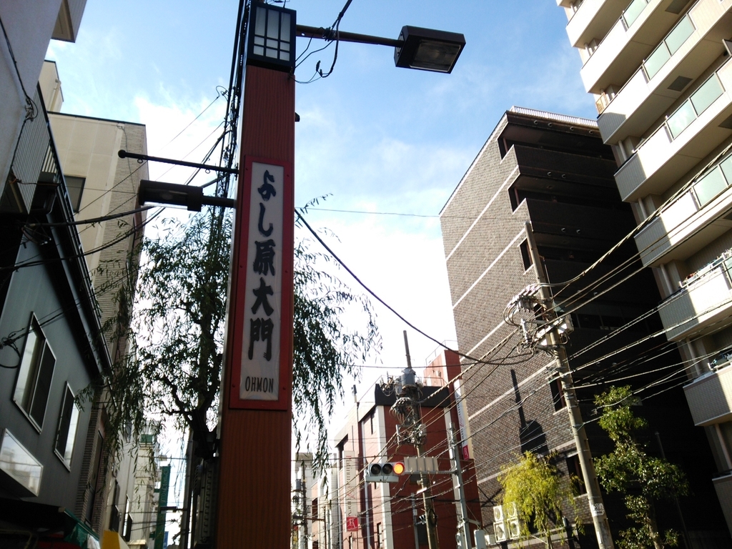 f:id:shukuzou:20190128132850j:plain