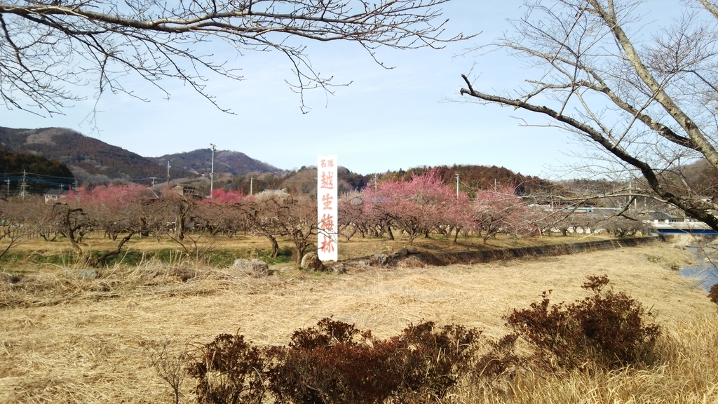 f:id:shukuzou:20190212074407j:plain
