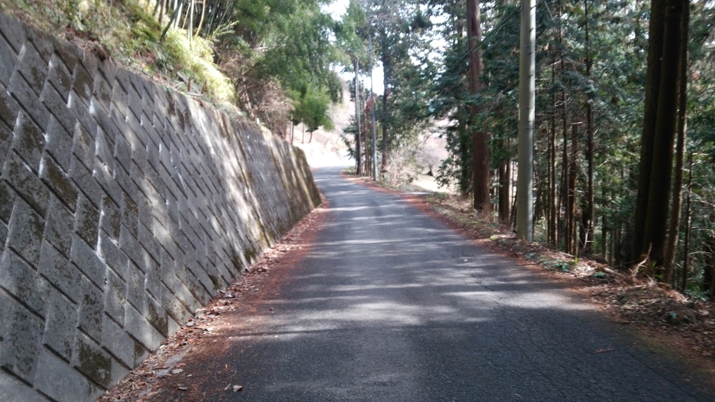 f:id:shukuzou:20190212090154j:plain