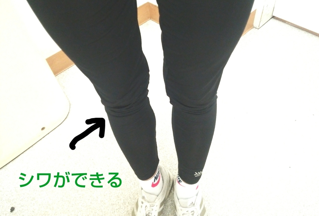 f:id:shukuzou:20190225162029j:plain
