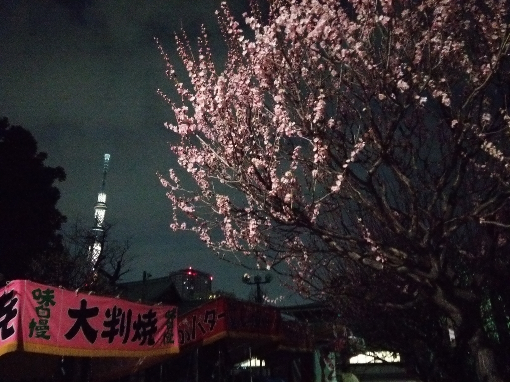 f:id:shukuzou:20190228105838j:plain f:id:shukuzou:20190228105838j:plain
