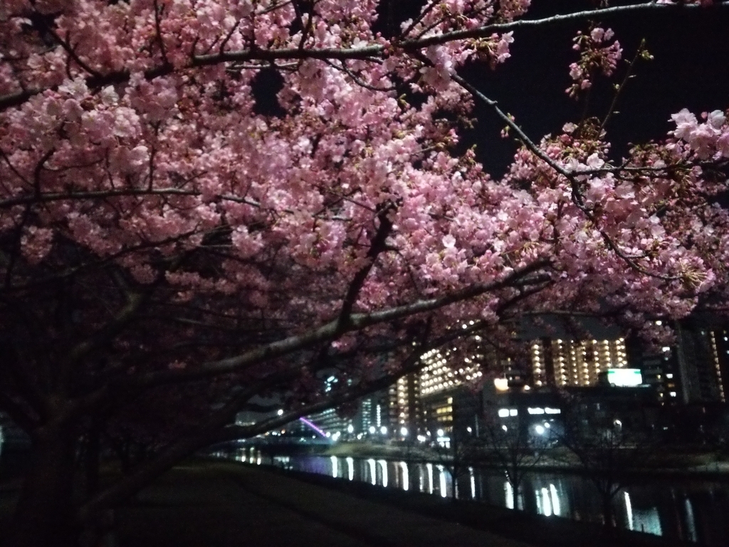 f:id:shukuzou:20190306095809j:plain f:id:shukuzou:20190306095809j:plain