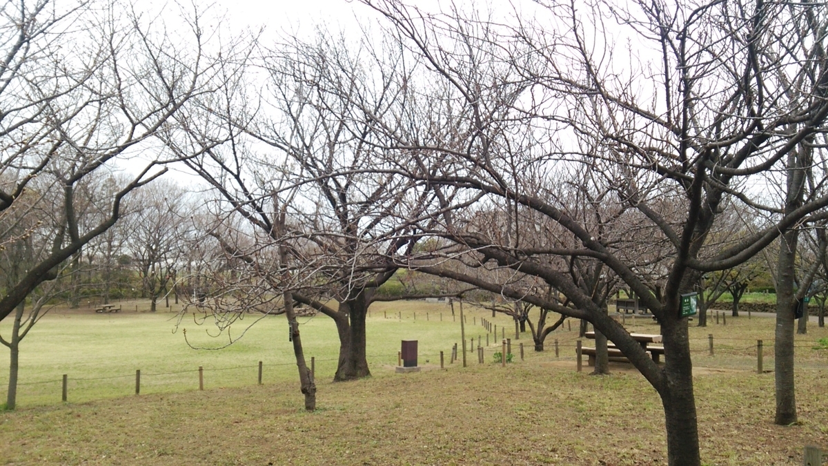 f:id:shukuzou:20190326102949j:plain