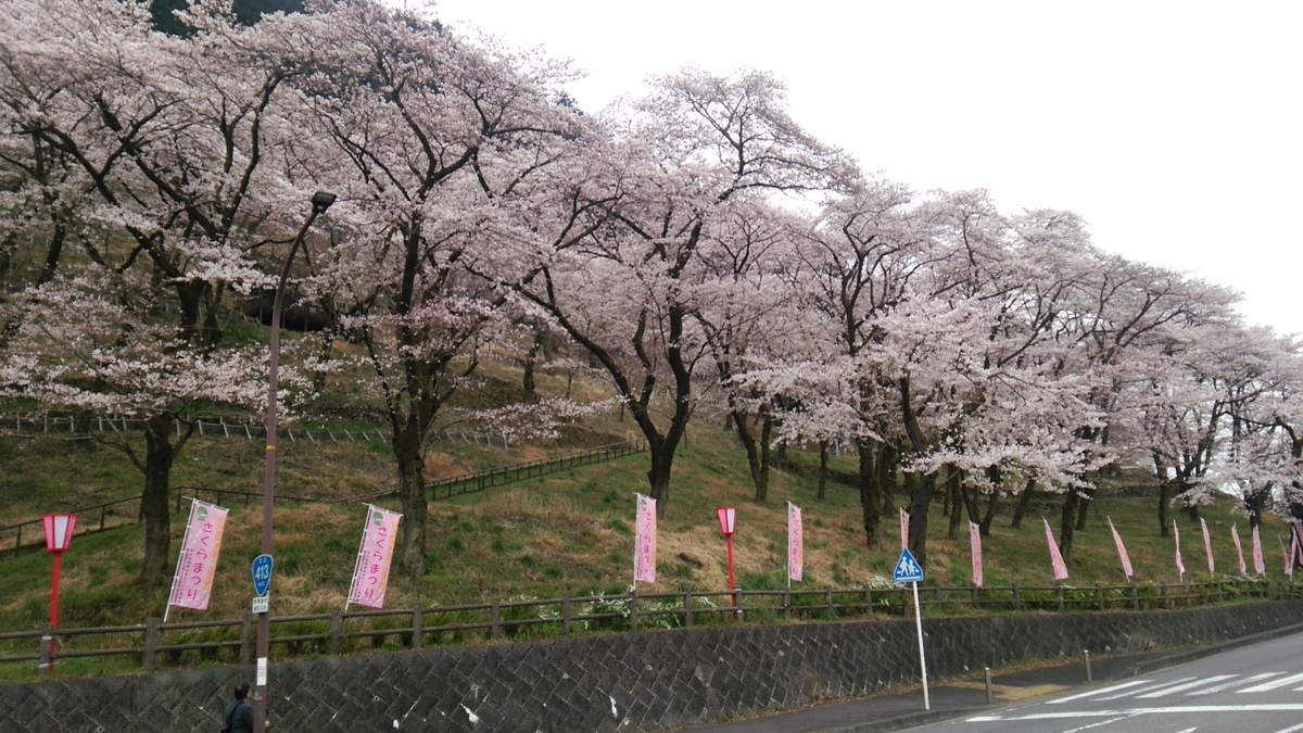 f:id:shukuzou:20190403150911j:plain