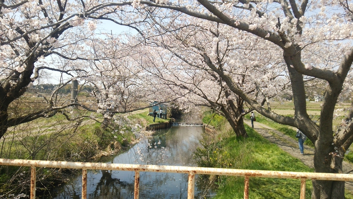 f:id:shukuzou:20190408140313j:plain