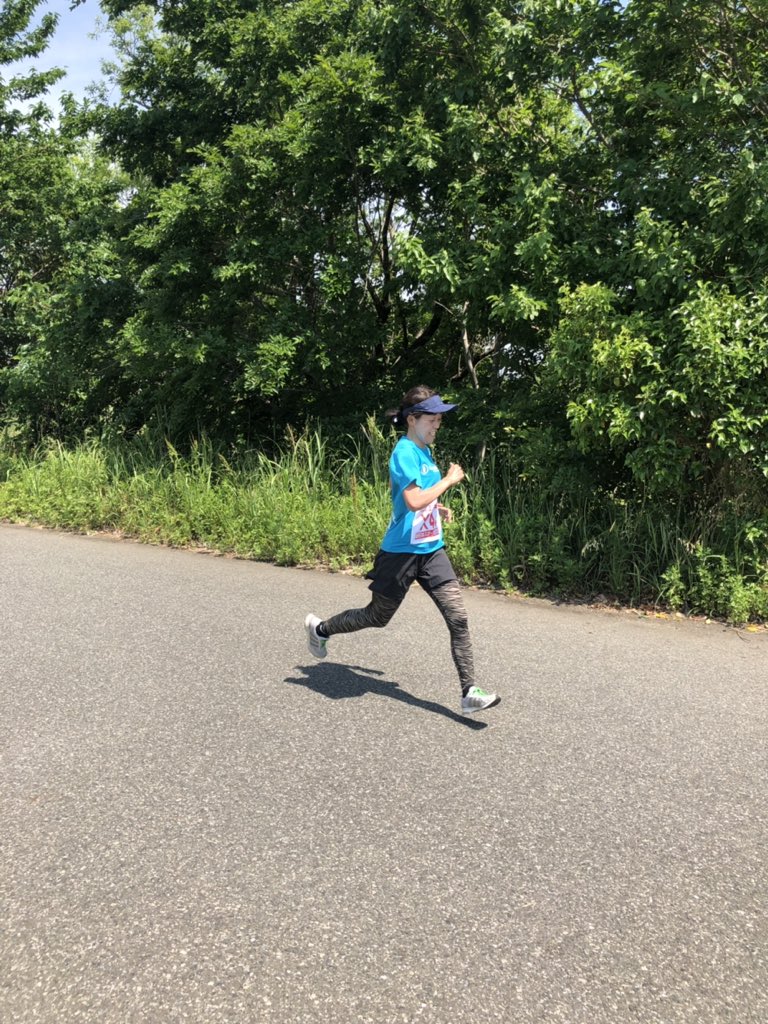 f:id:shukuzou:20190527142803j:plain f:id:shukuzou:20190527142803j:plain