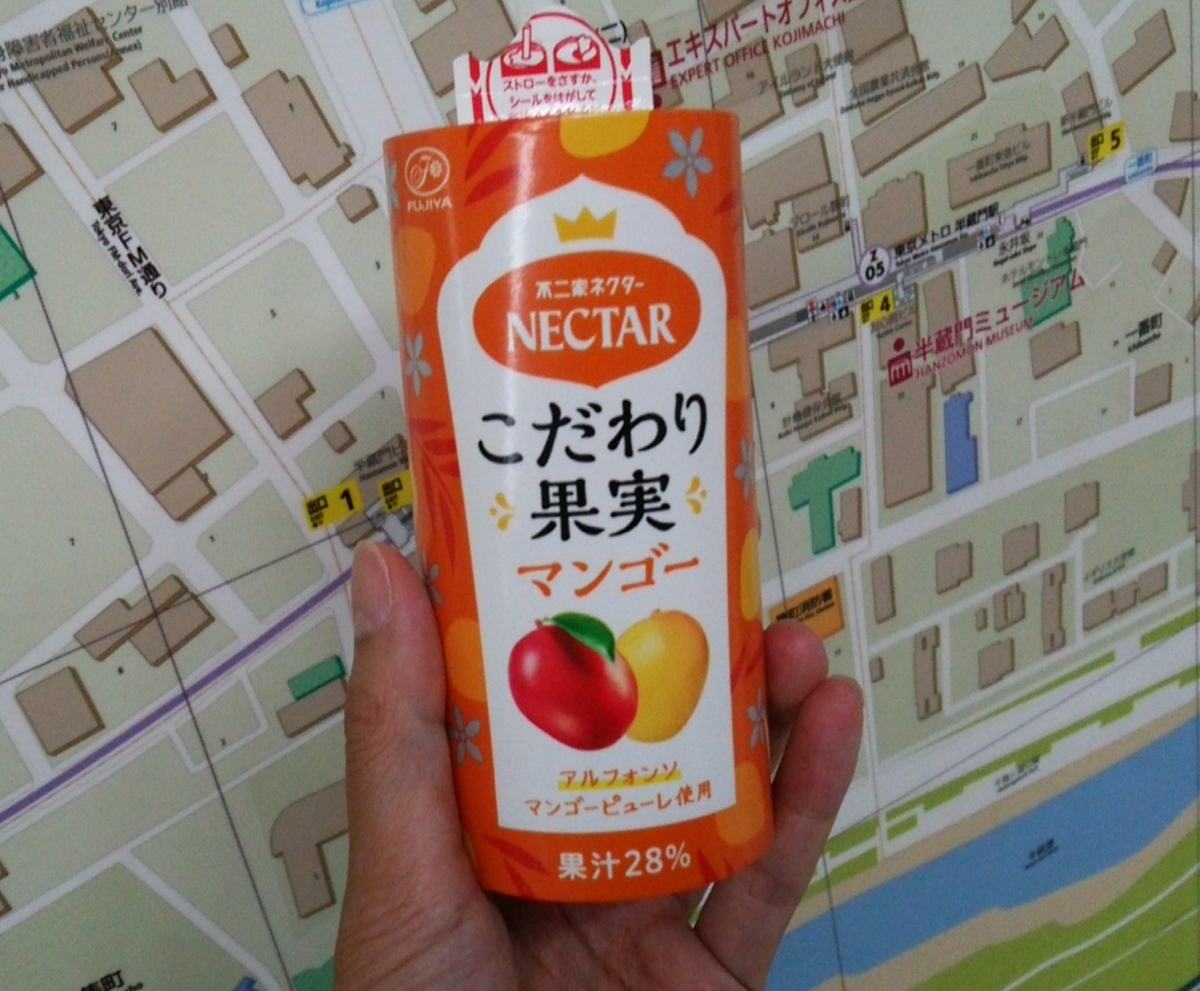f:id:shukuzou:20190617143827j:plain