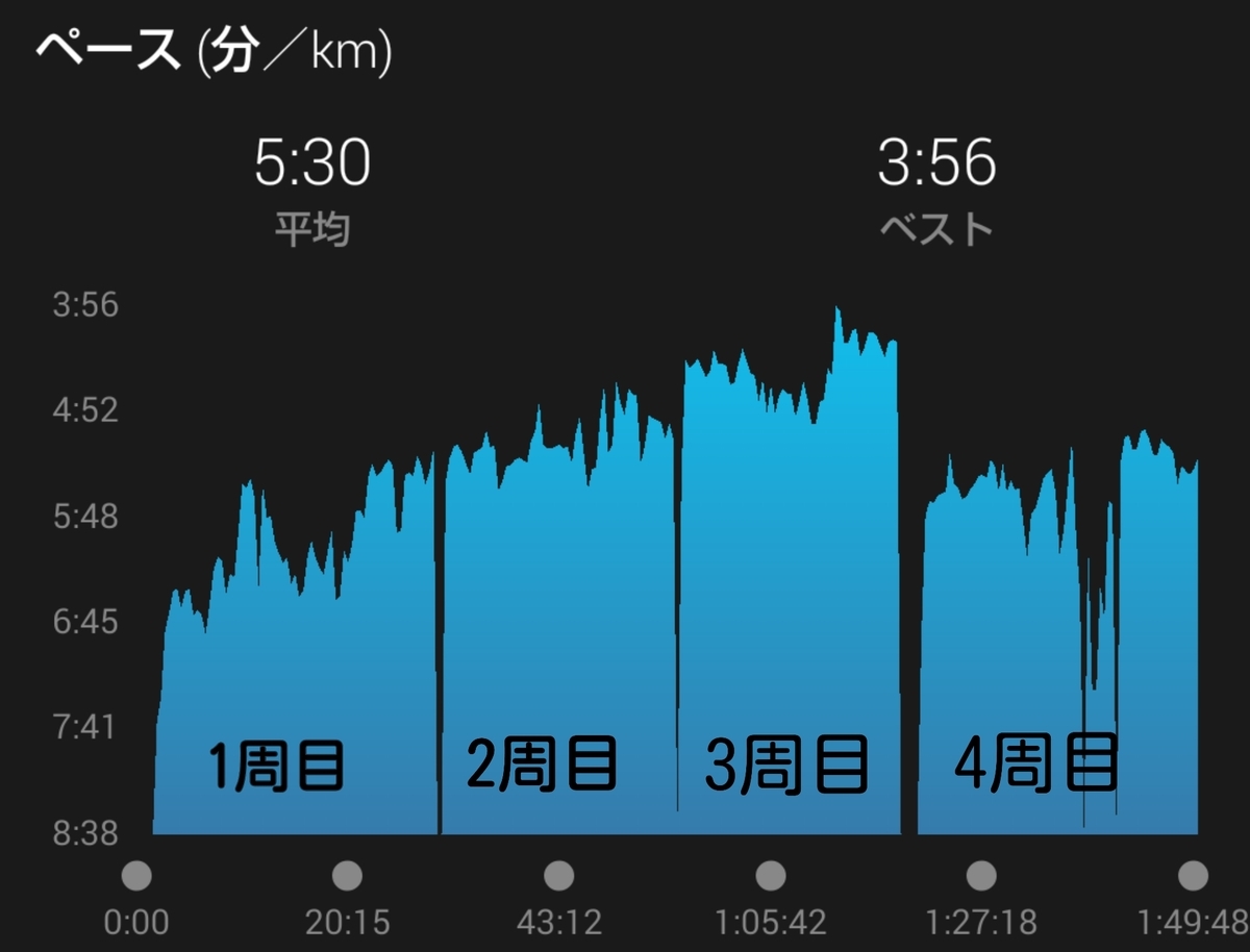 f:id:shukuzou:20190617143855j:plain