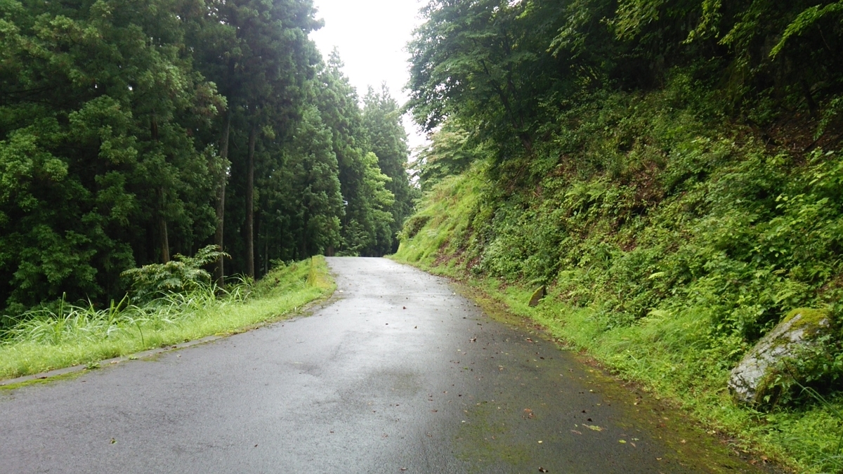 f:id:shukuzou:20190708091226j:plain