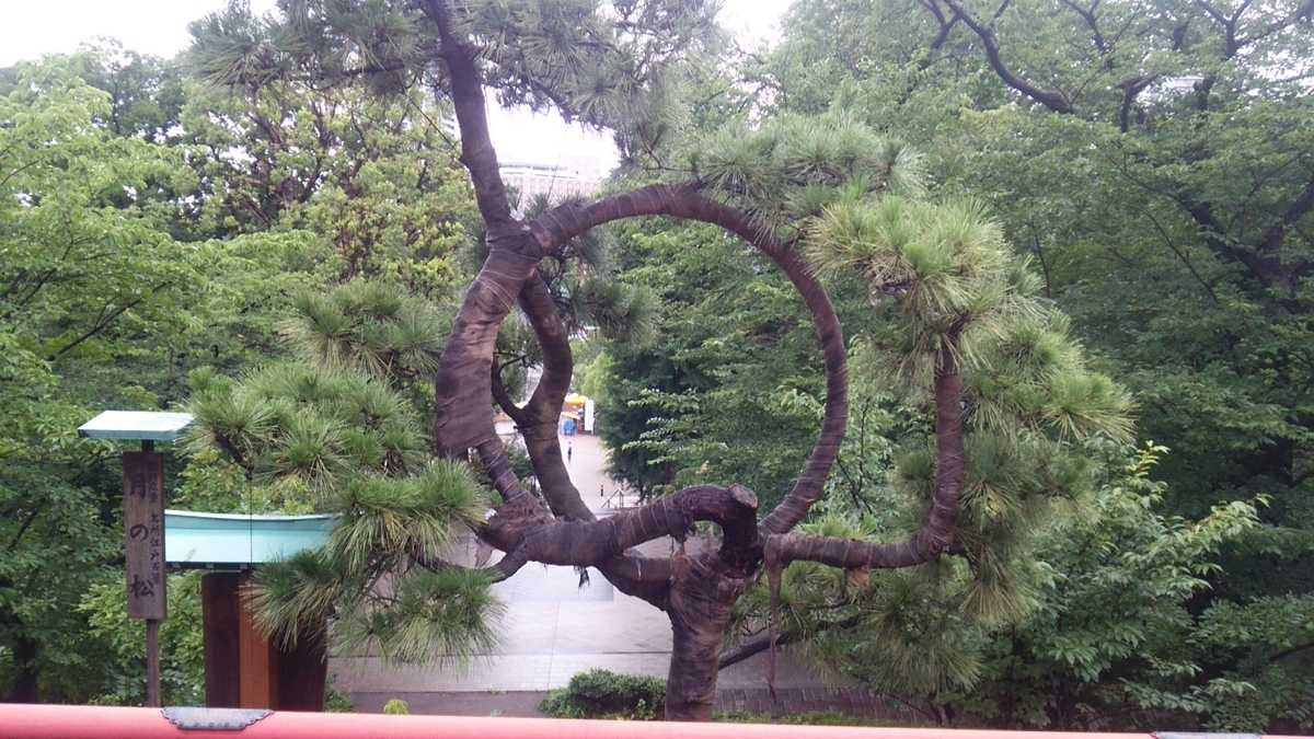 f:id:shukuzou:20190716162422j:plain