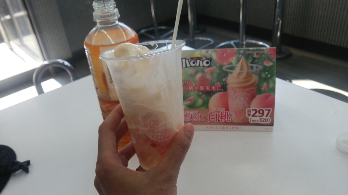 f:id:shukuzou:20190729142918j:plain
