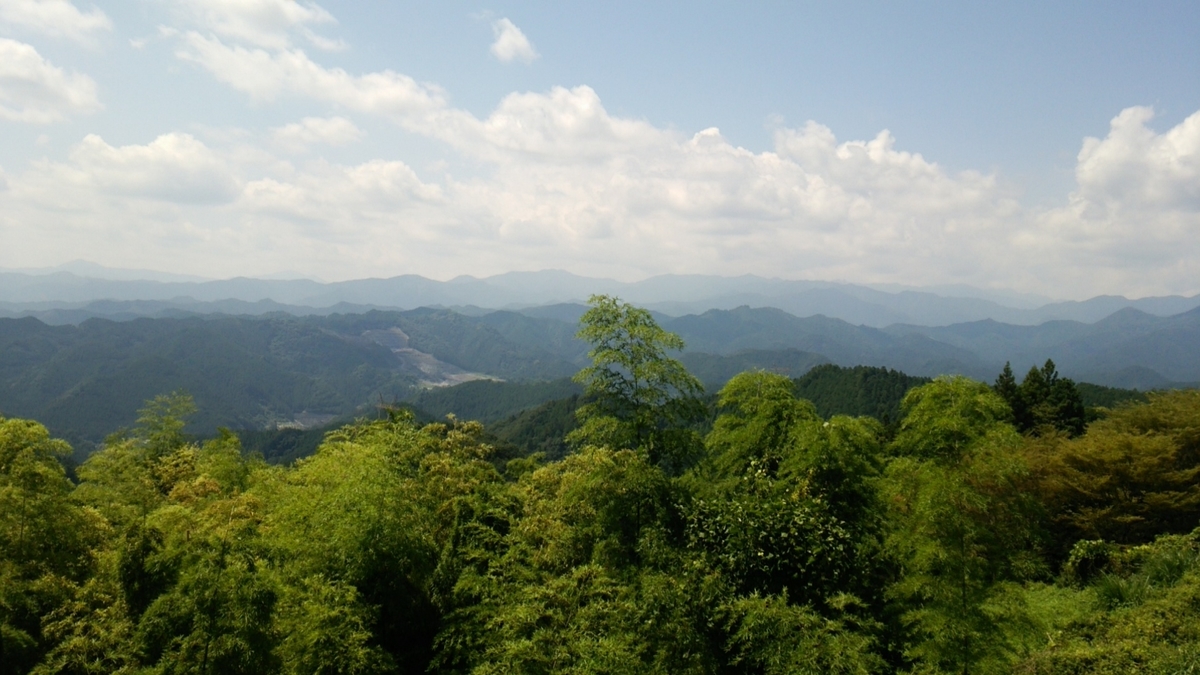 f:id:shukuzou:20190826162932j:plain