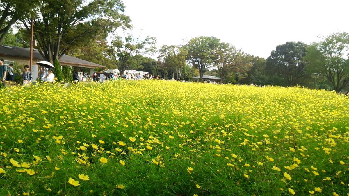 f:id:shukuzou:20190930162626j:plain