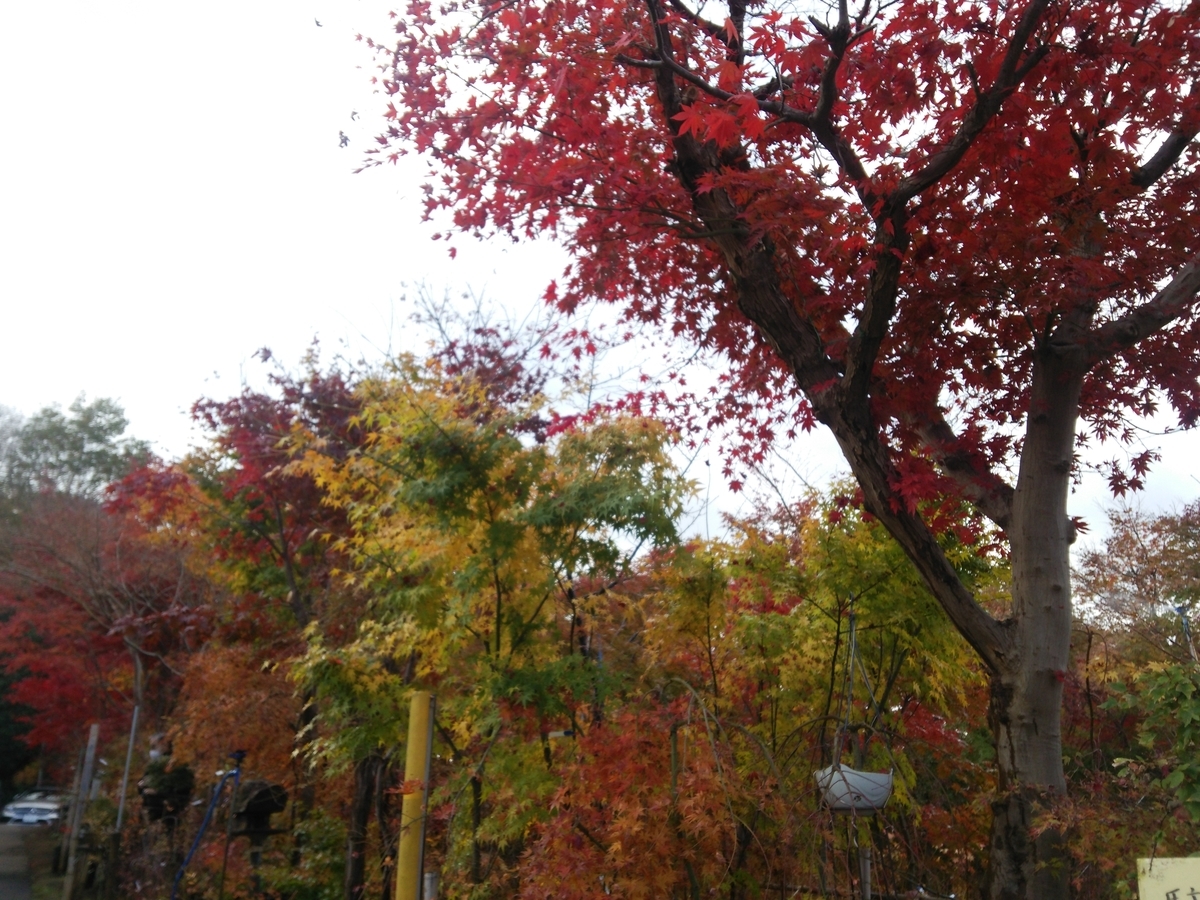 f:id:shukuzou:20191202134933j:plain