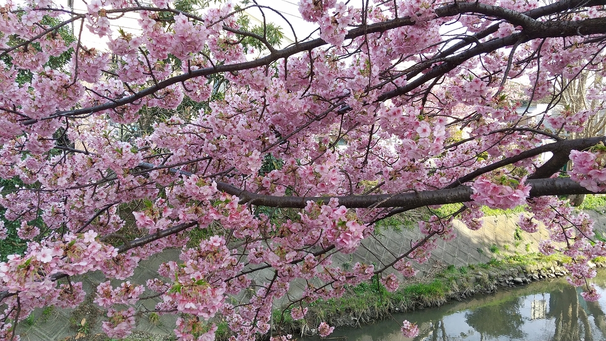 f:id:shukuzou:20200301152859j:plain f:id:shukuzou:20200301152859j:plain