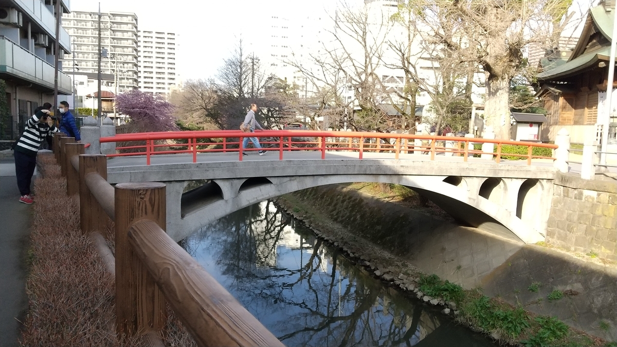 f:id:shukuzou:20200301153241j:plain f:id:shukuzou:20200301153241j:plain