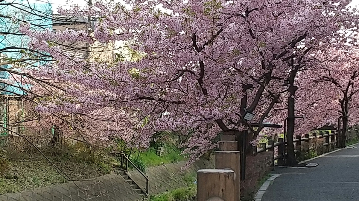 f:id:shukuzou:20200301153951j:plain f:id:shukuzou:20200301153951j:plain