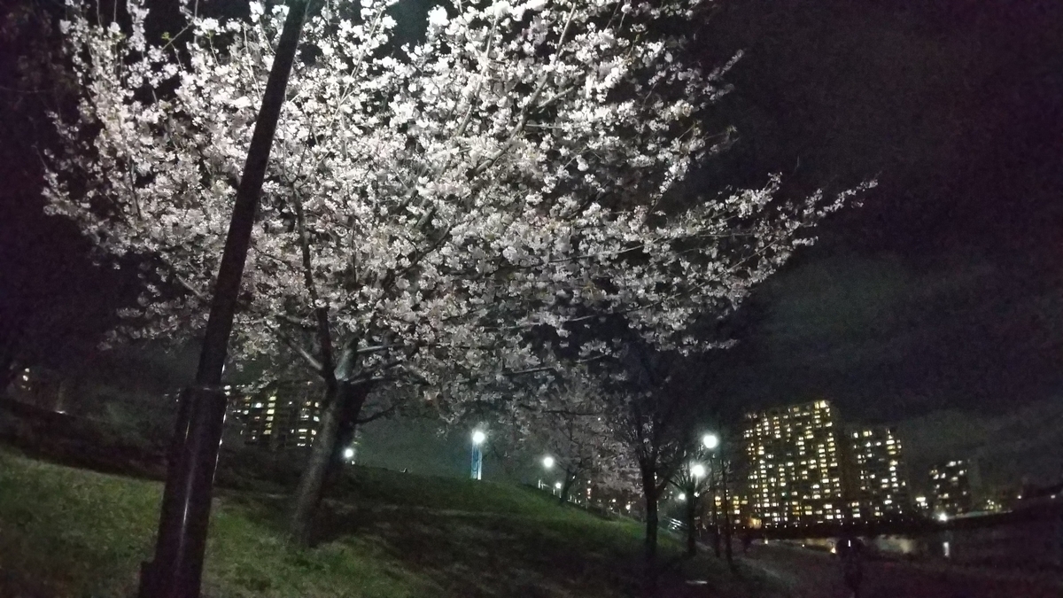 f:id:shukuzou:20200309190647j:plain f:id:shukuzou:20200309190647j:plain