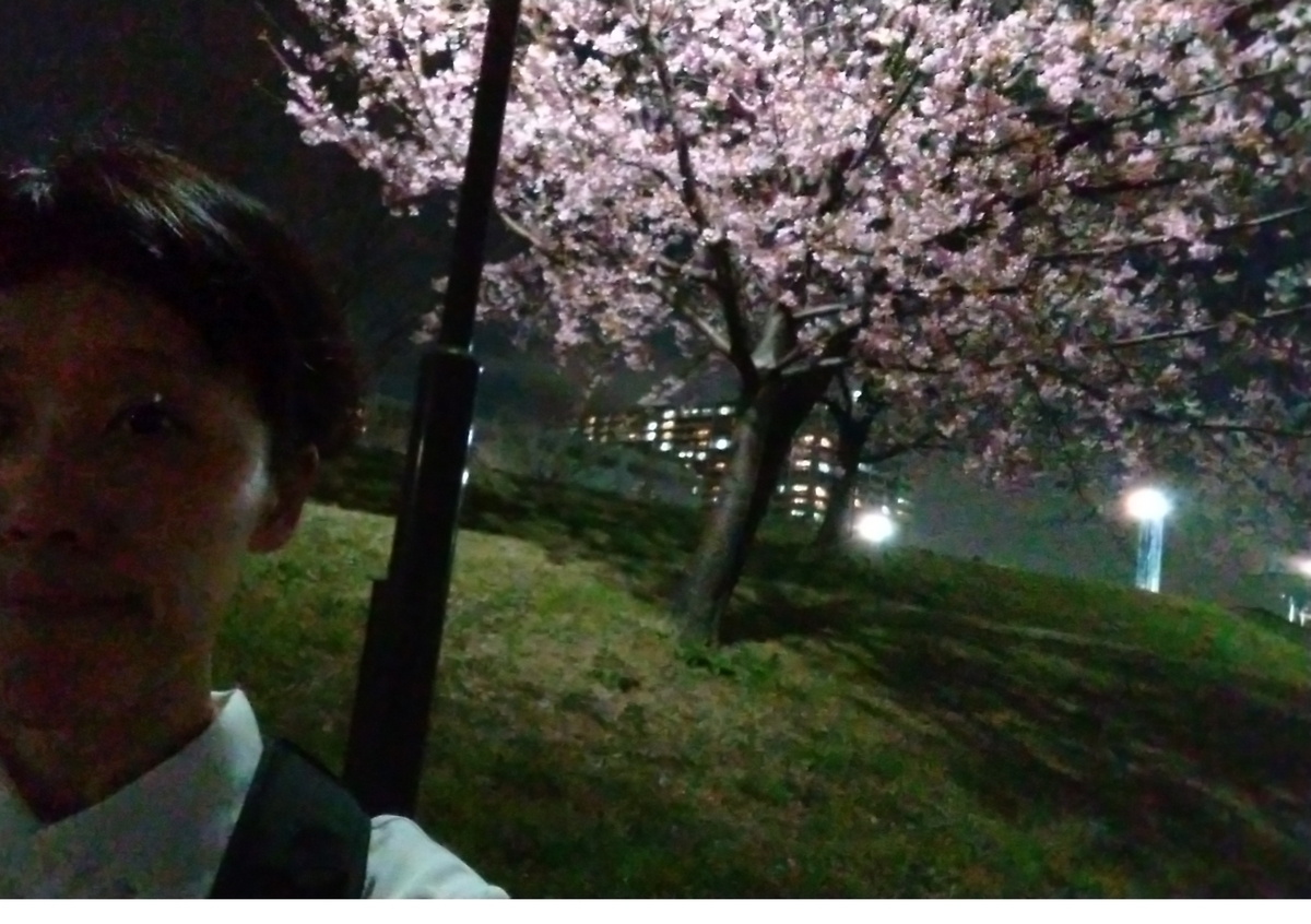 f:id:shukuzou:20200309190732j:plain f:id:shukuzou:20200309190732j:plain