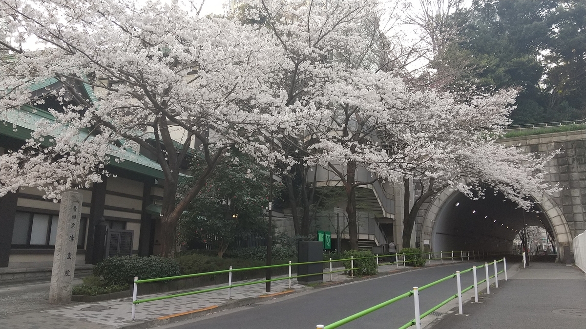 f:id:shukuzou:20200324201757j:plain f:id:shukuzou:20200324201757j:plain