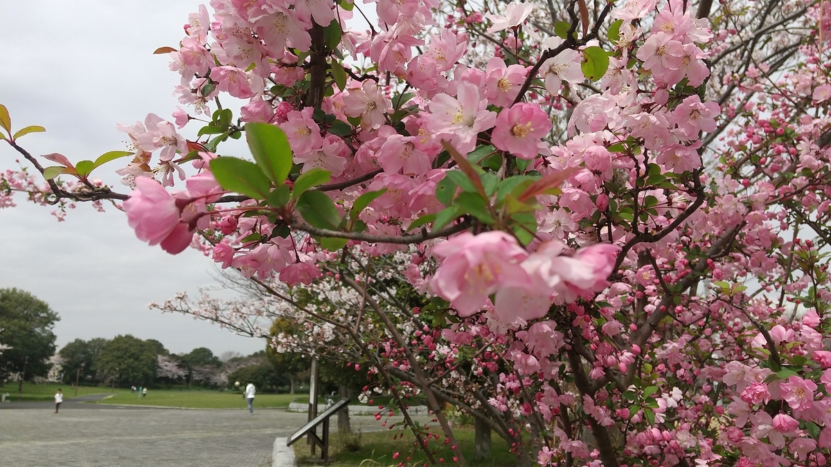 f:id:shukuzou:20200402144231j:plain