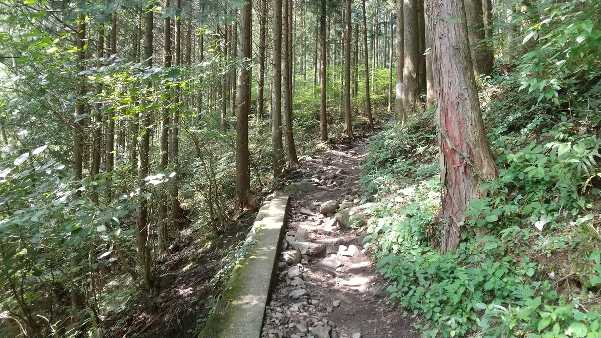 f:id:shukuzou:20200810131350j:plain