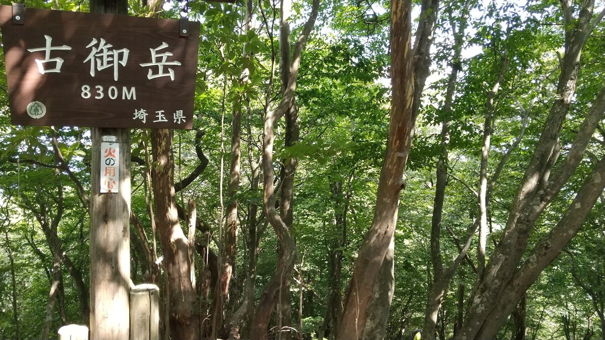 f:id:shukuzou:20200831143846j:plain