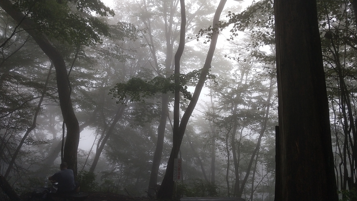 f:id:shukuzou:20200914142845j:plain f:id:shukuzou:20200914142845j:plain