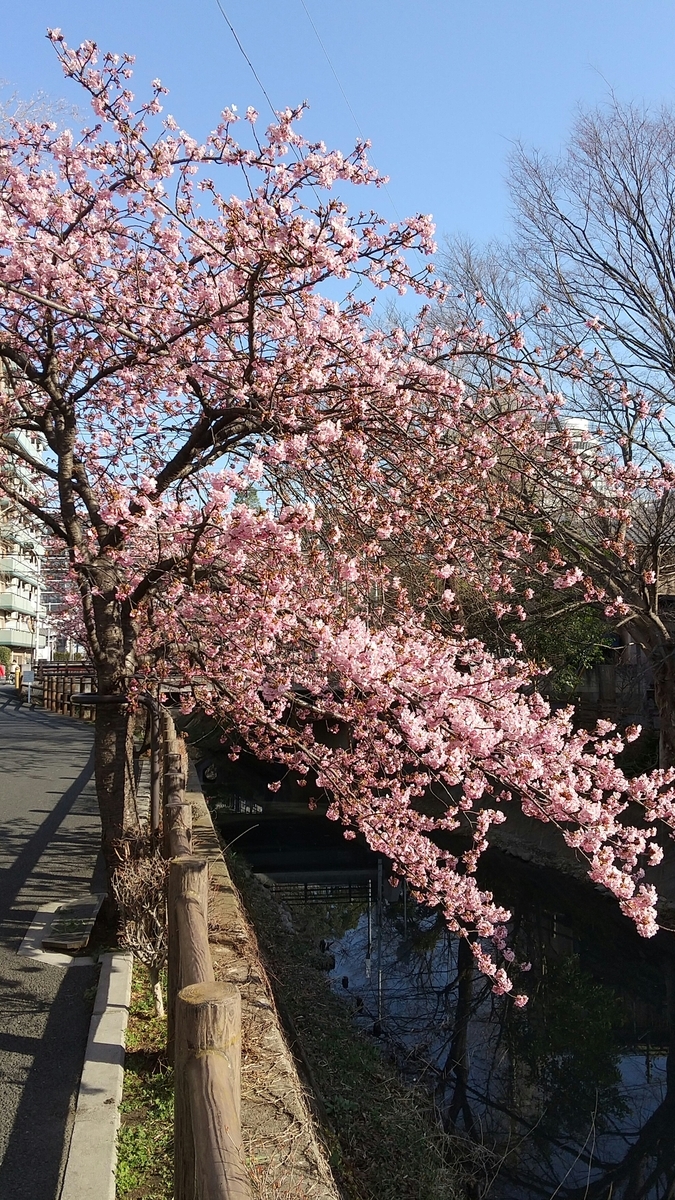 f:id:shukuzou:20210227122557j:plain