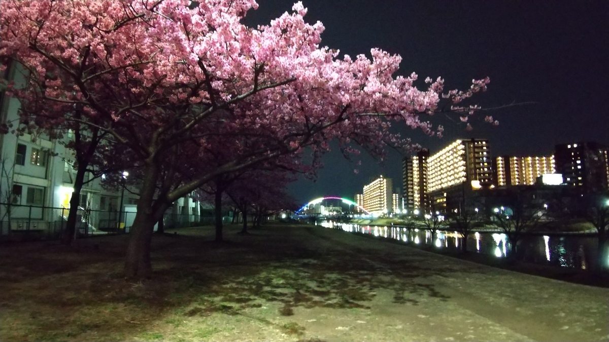 f:id:shukuzou:20210227122723j:plain