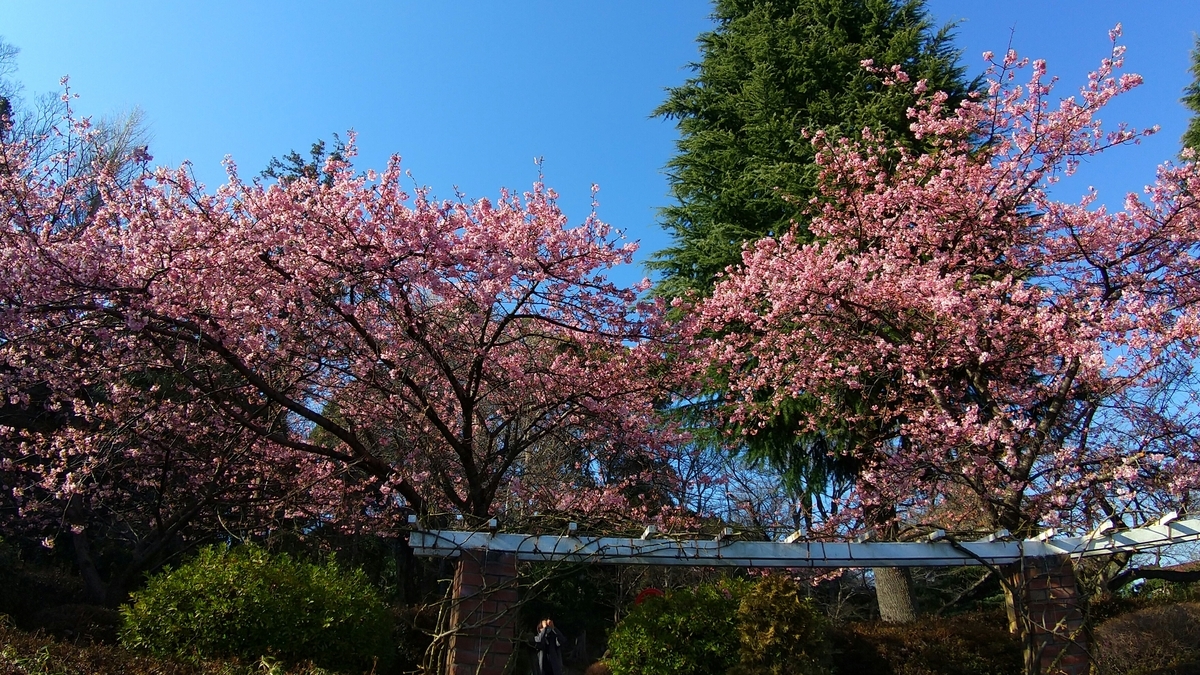 f:id:shukuzou:20210227125423j:plain