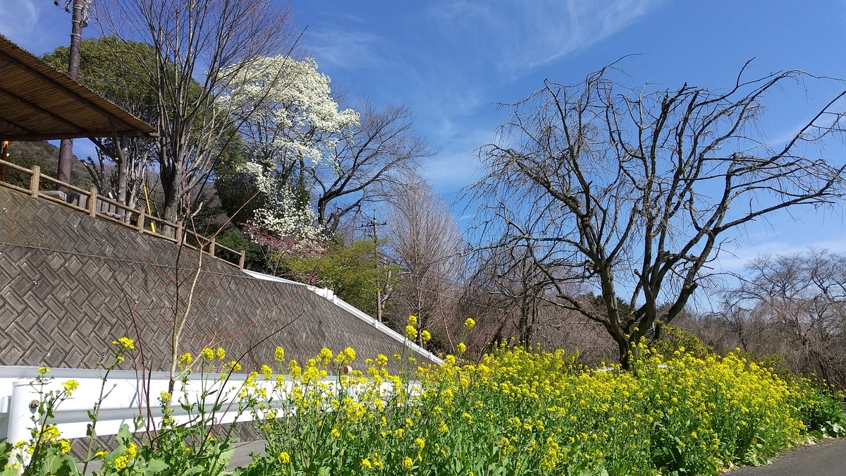 f:id:shukuzou:20210316144735j:plain