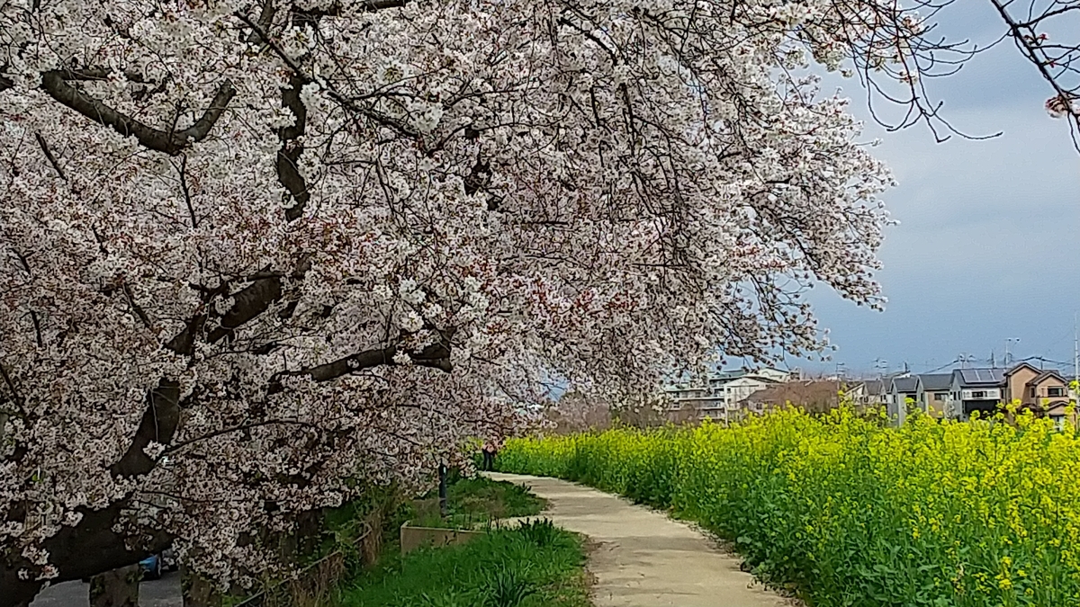 f:id:shukuzou:20210329144003j:plain