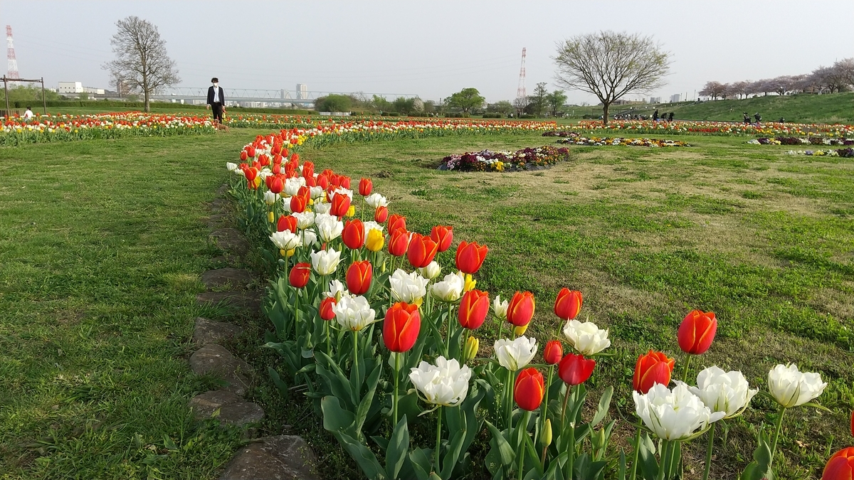 f:id:shukuzou:20210402103145j:plain