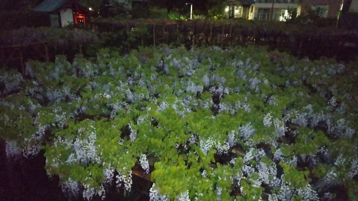 f:id:shukuzou:20210414114516j:plain