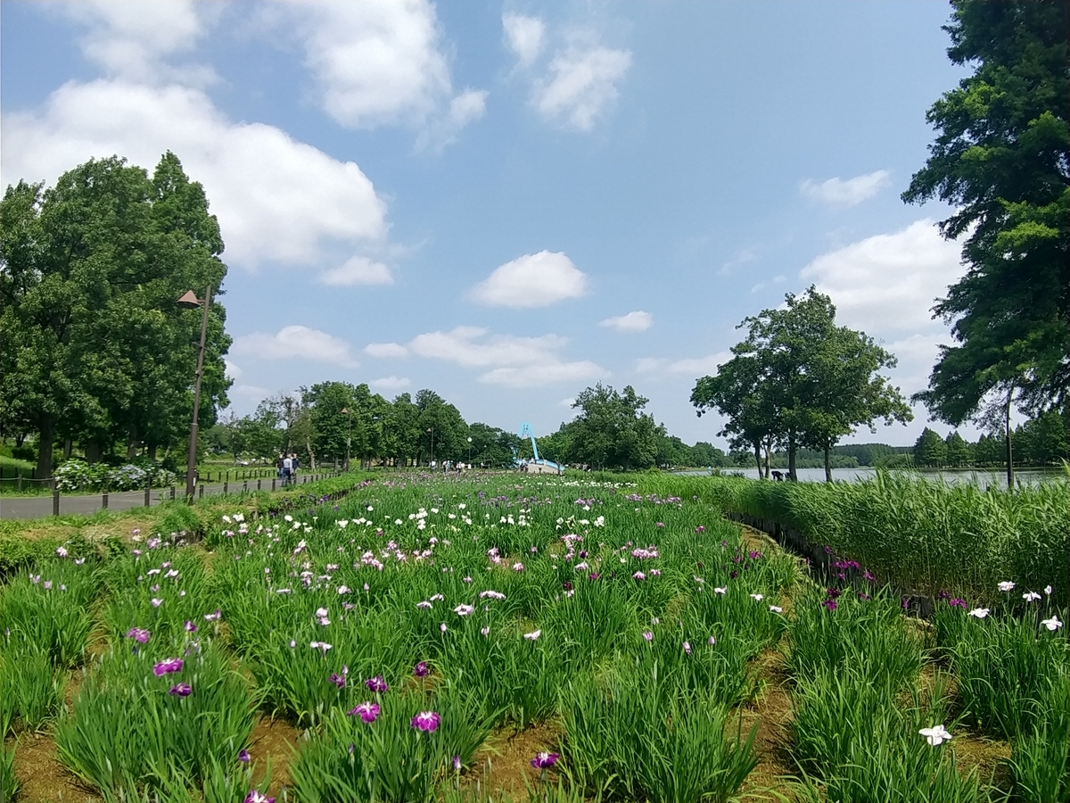 f:id:shukuzou:20210531122255j:plain