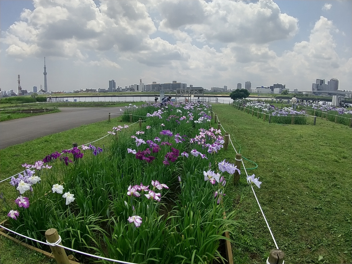 f:id:shukuzou:20210531122531j:plain