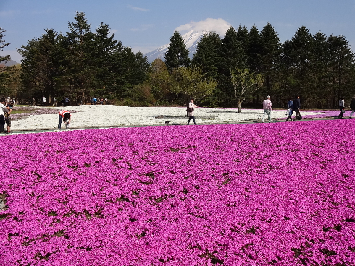 f:id:shumi-wa-yome:20130506151147j:plain