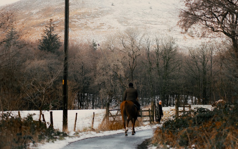 f:id:shuminojoba:20201215220007j:plain