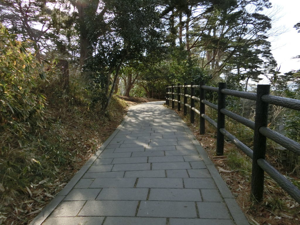 f:id:shun51052:20190213144242j:plain f:id:shun51052:20190213144242j:plain