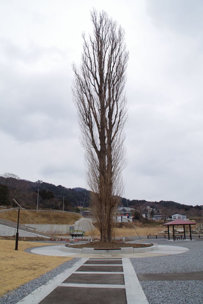 f:id:shun51052:20190222093743j:plain