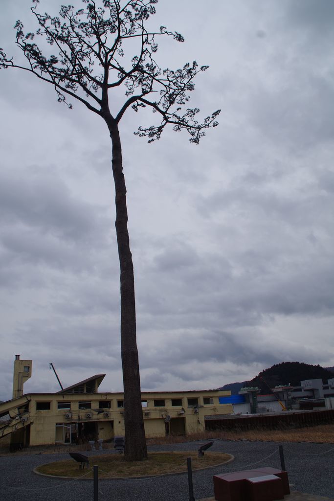 f:id:shun51052:20190222094617j:plain