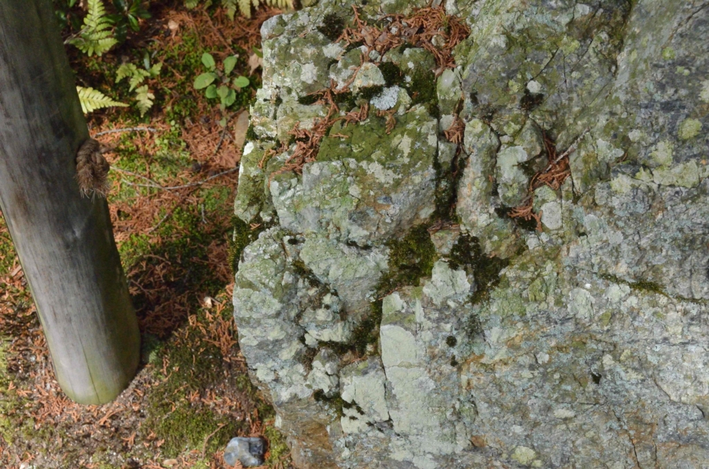 f:id:shunadachi:20170302134217j:plain