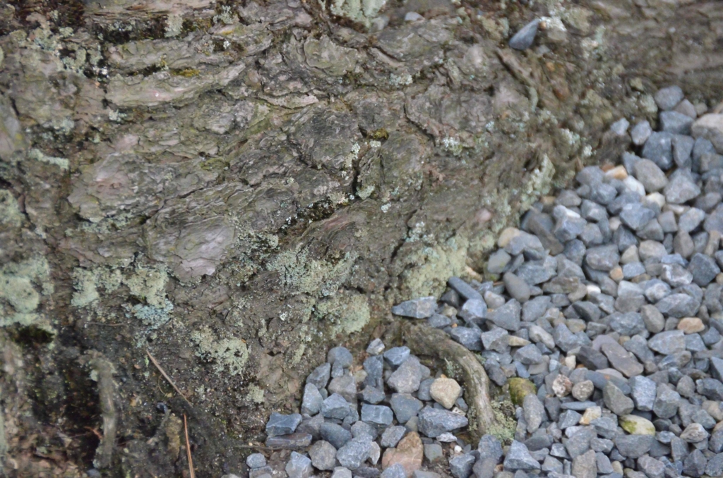 f:id:shunadachi:20170302134702j:plain