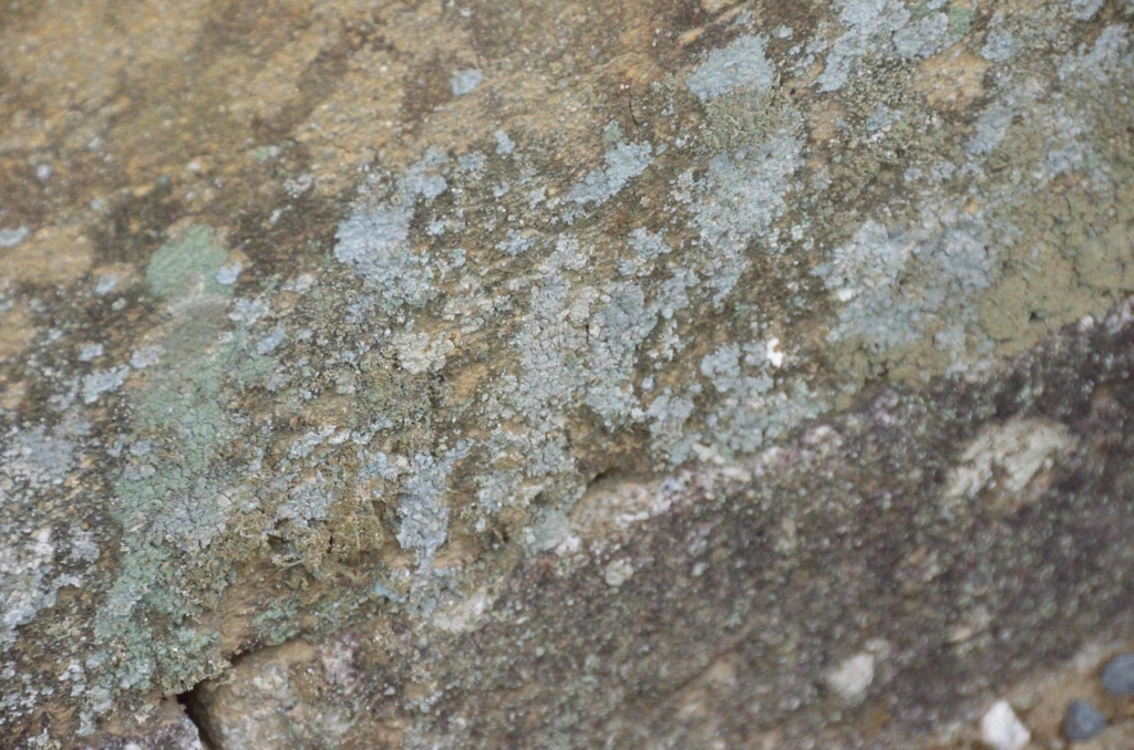 f:id:shunadachi:20170302134806j:plain