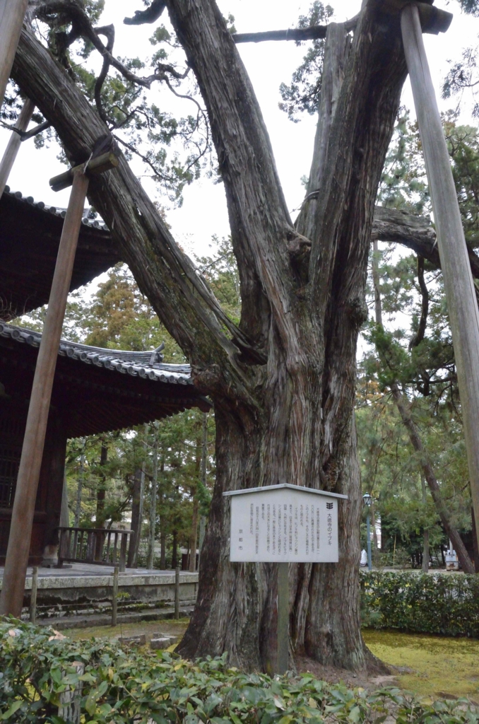 f:id:shunadachi:20170302134859j:plain