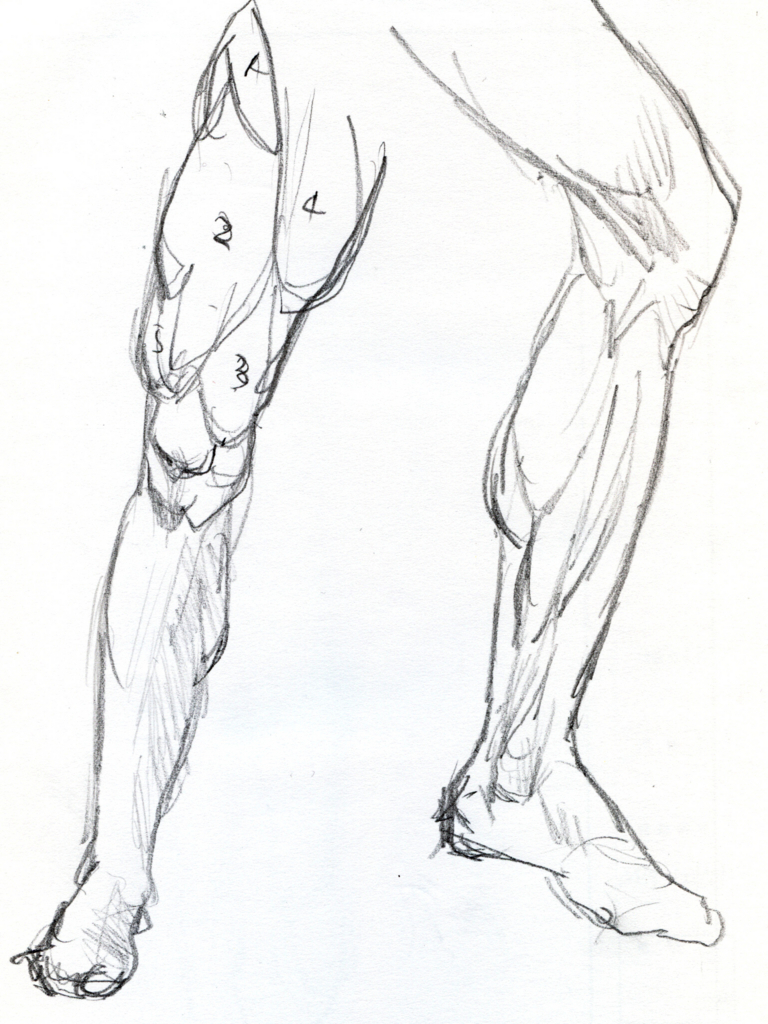 レオナルドダヴィンチの足の素描の模写