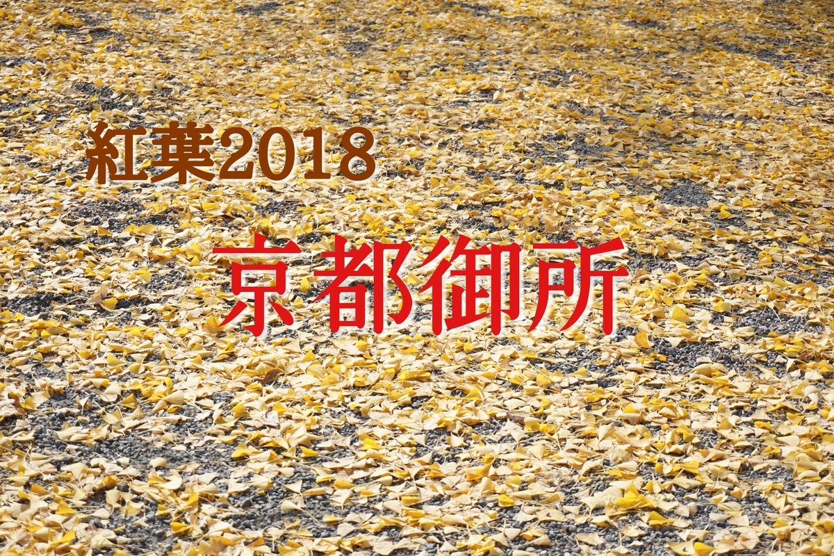 f:id:shunbee:20191001213815j:plain f:id:shunbee:20191001213815j:plain
