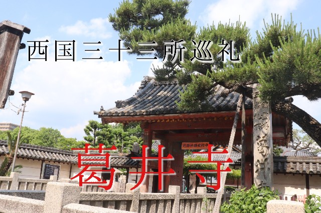 f:id:shunbee:20191008005838j:image f:id:shunbee:20191008005838j:image